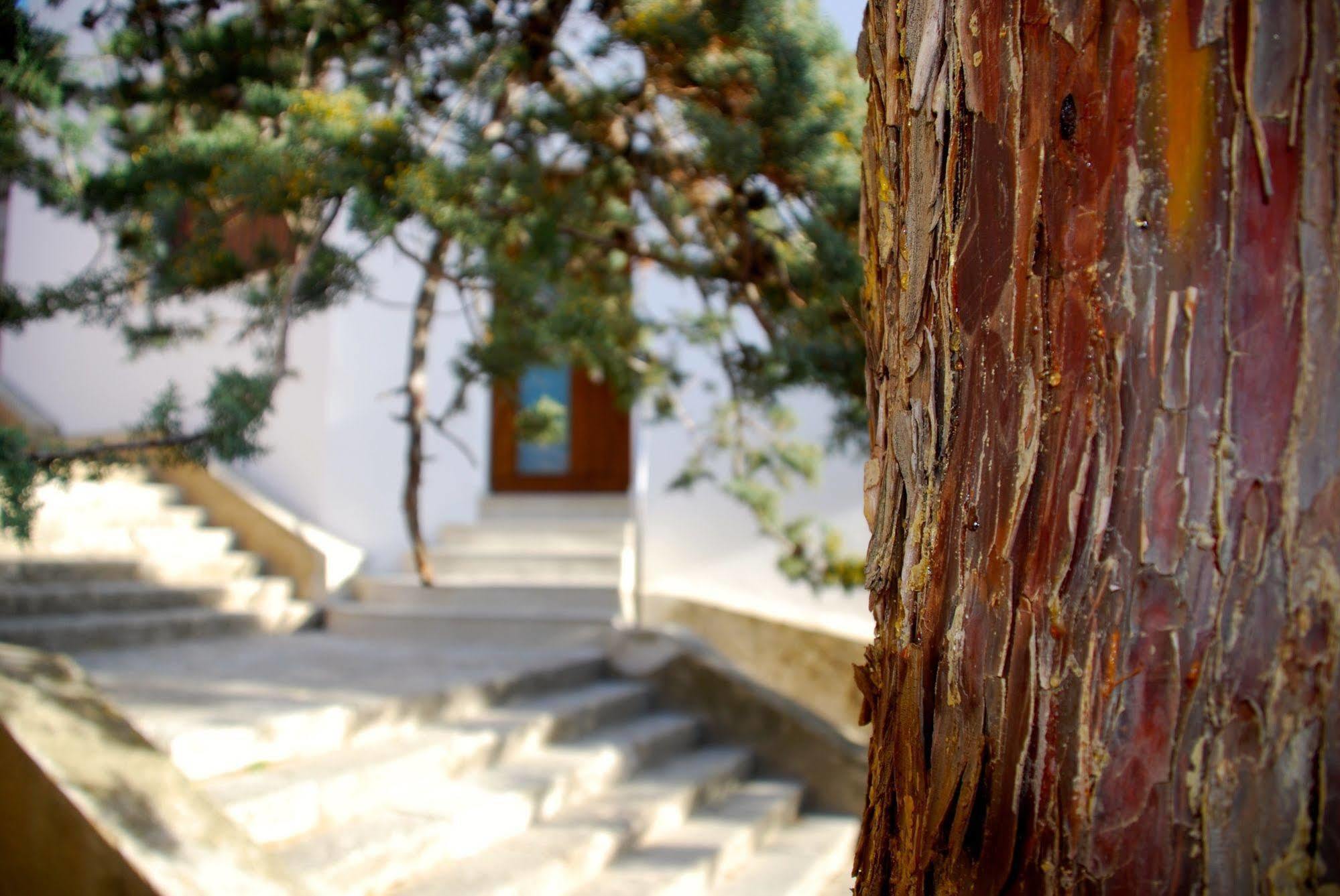Apartamento Rural Castillo De Yeste 2 Pax (Adults Only) Exterior photo